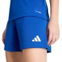 Šortai moterims adidas Entrada 26 mėlyna JZ6522 (S) Šortai moterims adidas Entrada 26 mėlyna JZ6522 (S)