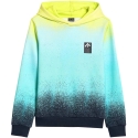 Boy's Sweatshirt 4F M3184 Multicolor 4FJWSS26TSWSM3184 90A 158cm Boy's Sweatshirt 4F M3184 Multicolor 4FJWSS26TSWSM3184 90A 158cm