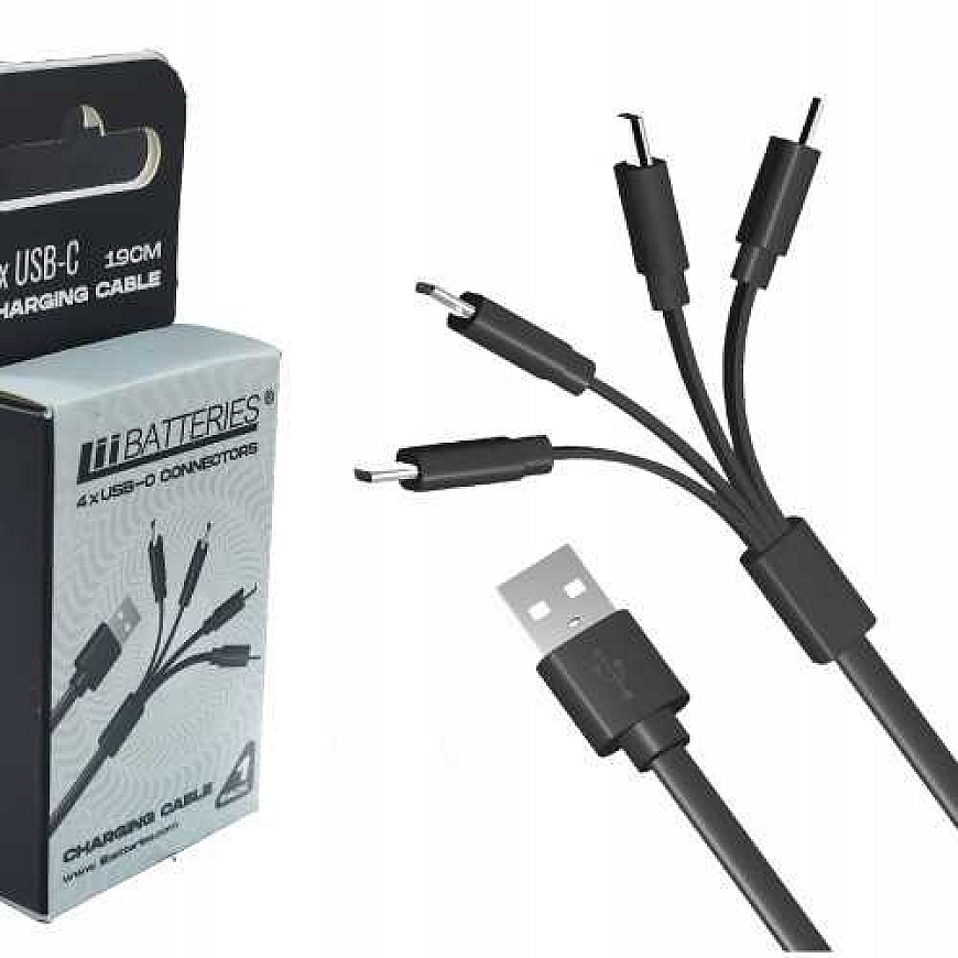 Liibattaries Fast kaabel 4 x USB-C, mis on mõeldud LITHIUM-ION akudele (19) – 2