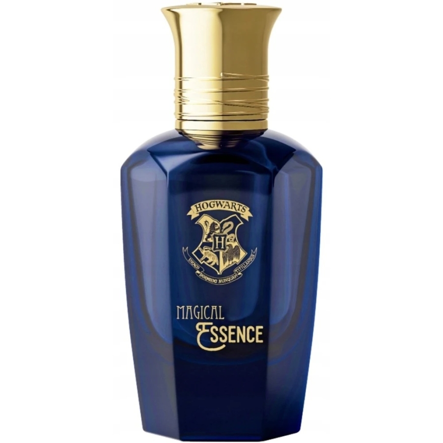 Harry Potter Magical Essence Wisdom EDP smarža vīriešiem, 50 ml – 2