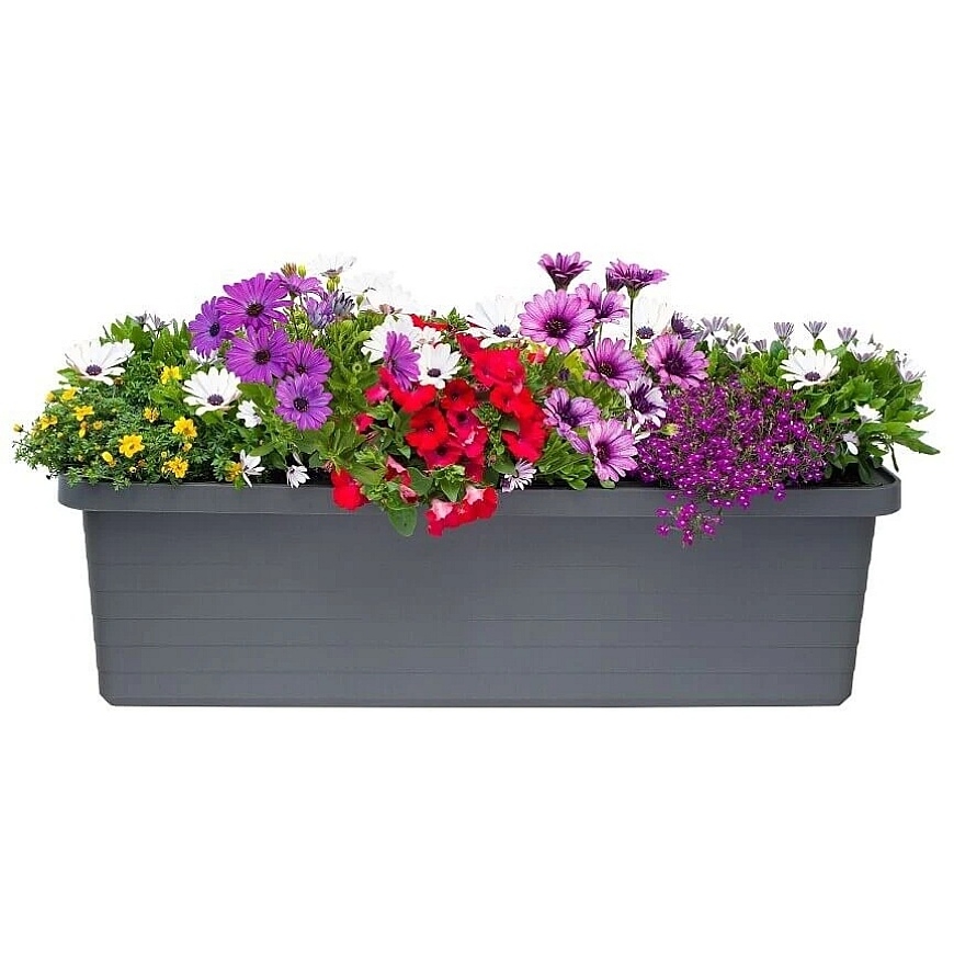 URBALIVE BERBERIS TRIO self-watering pot 117 x 39 cm, round – 2