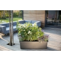 URBALIVE BERBERIS TRIO iseliikuva pott 117 x 39 cm, ümar URBALIVE BERBERIS TRIO iseliikuva pott 117 x 39 cm, ümar