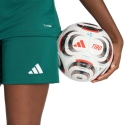 Šortai moterims adidas Entrada 26 žalia KE9829 (L)