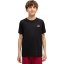 Puma Ess 2 Color Small No.1 Logo Tee for Kids Black 685779 71 (140cm) Puma Ess 2 Color Small No.1 Logo Tee for Kids Black 685779 71 (140cm)