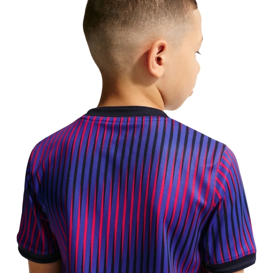 Nike Paris Saint-Germain T-särk lastele lilla IQ6946 420 (S) – 4