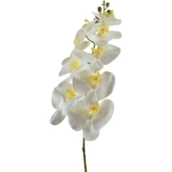 Mondex Since 1986 VIRIDIS Ziedu orhideju zars 90 cm balts