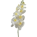 Mondex Since 1986 VIRIDIS Gėlių orchidėjos šakelė 90 cm balta Mondex Since 1986 VIRIDIS Gėlių orchidėjos šakelė 90 cm balta
