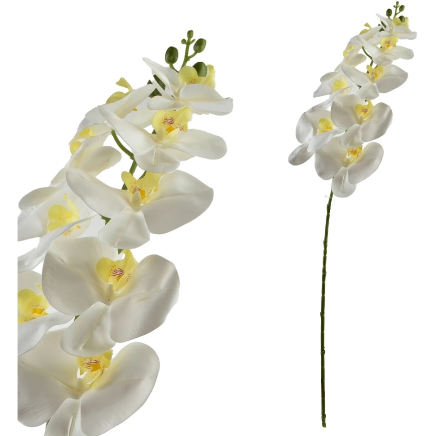 Mondex Since 1986 VIRIDIS Flower Orchid Branch 90 cm White – 2