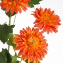Eurofirany KW/NATU/426/POM POMA Eurofirany KW/NATU/426/POM POMA