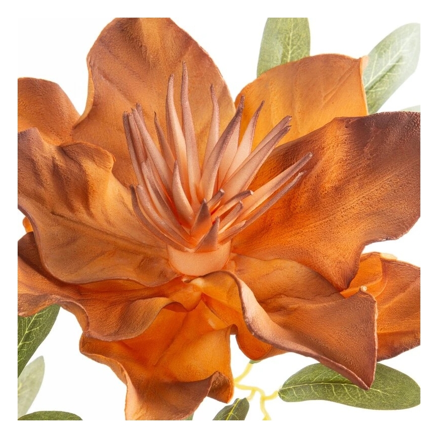 Eurofirany KW/FLORE/886/POM POMA+BR – 2