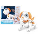 Artyk *****Robot Dog RC 175930 Artyk *****Robot Dog RC 175930
