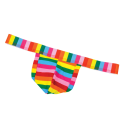 Spencer Fleetwood RAINBOW Мужские стринги Spencer Fleetwood RAINBOW Мужские стринги