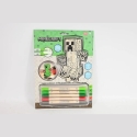 KIDS Licensed accessories by Euroswan for kids. Color your 2D Minecraft figure. KIDS Licensed accessories by Euroswan for kids. Color your 2D Minecraft figure.