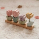 Little Dutch Sustatomos flowers 'Fairy Garden' Little Dutch Sustatomos flowers 'Fairy Garden'