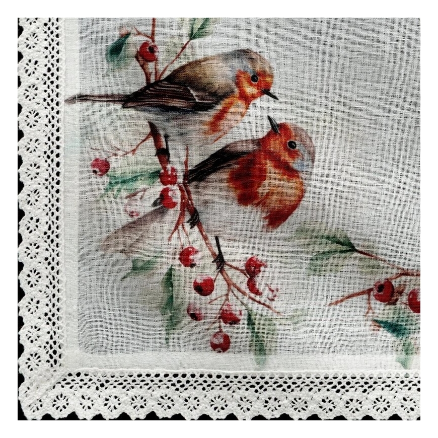 Eurofirany SW/XMAS/CHO/10 85X85 B+RUDY – 2