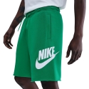 Шорты для мужчин Nike Club зеленые FQ4950 324 (S)