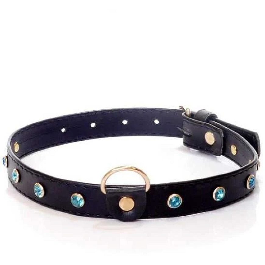 Fetish B Series BDSM vangistus domineeriv kaelarihm 2cm nahast türkiissinine
