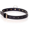 Fetish B Series BDSM vangistus domineeriv kaelarihm 2cm nahast türkiissinine Fetish B Series BDSM vangistus domineeriv kaelarihm 2cm nahast türkiissinine