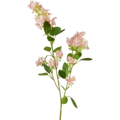 Mondex Since 1986 VIRIDIS Flowering Branch 80cm
