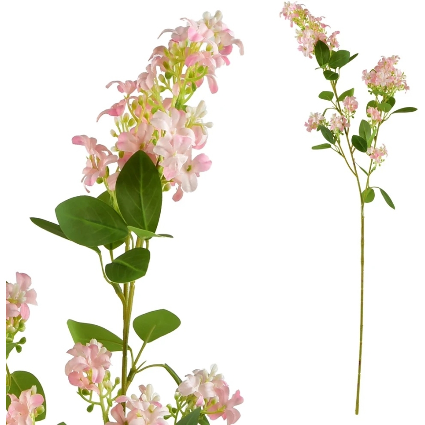 Mondex Since 1986 VIRIDIS Flowering Branch 80cm – 2