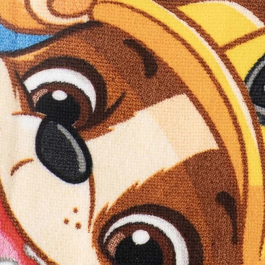 CERDÁ Paw Patrol towel + swimming goggles set – 4