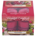 Yankee Candle Sarkanā avenes Yankee Candle Sarkanā avenes