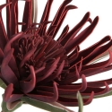 Eurofirany KW/FLORE/827/SAUSAS STALAS Eurofirany KW/FLORE/827/SAUSAS STALAS