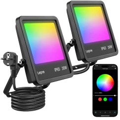 Lepro F1 30W projector