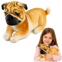 Lean Toys Plush Toy - Pug, 25 cm Lean Toys Plush Toy - Pug, 25 cm