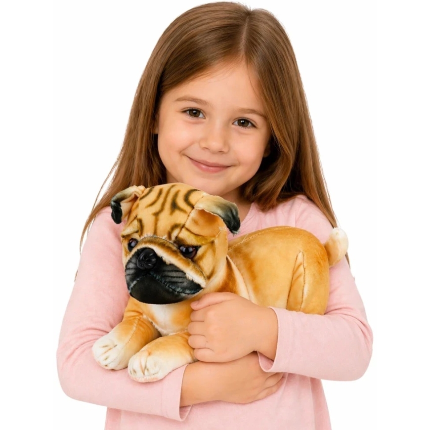 Lean Toys Pehme mänguasi - mops, 25 cm – 3