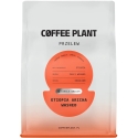 COFFEE PLANT – Etiopija Aricha mazgāta filtrēta 250 g COFFEE PLANT – Etiopija Aricha mazgāta filtrēta 250 g