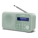 Sharp DR-P420 Kaasaskantav Digitaalne Roheline Sharp DR-P420 Kaasaskantav Digitaalne Roheline