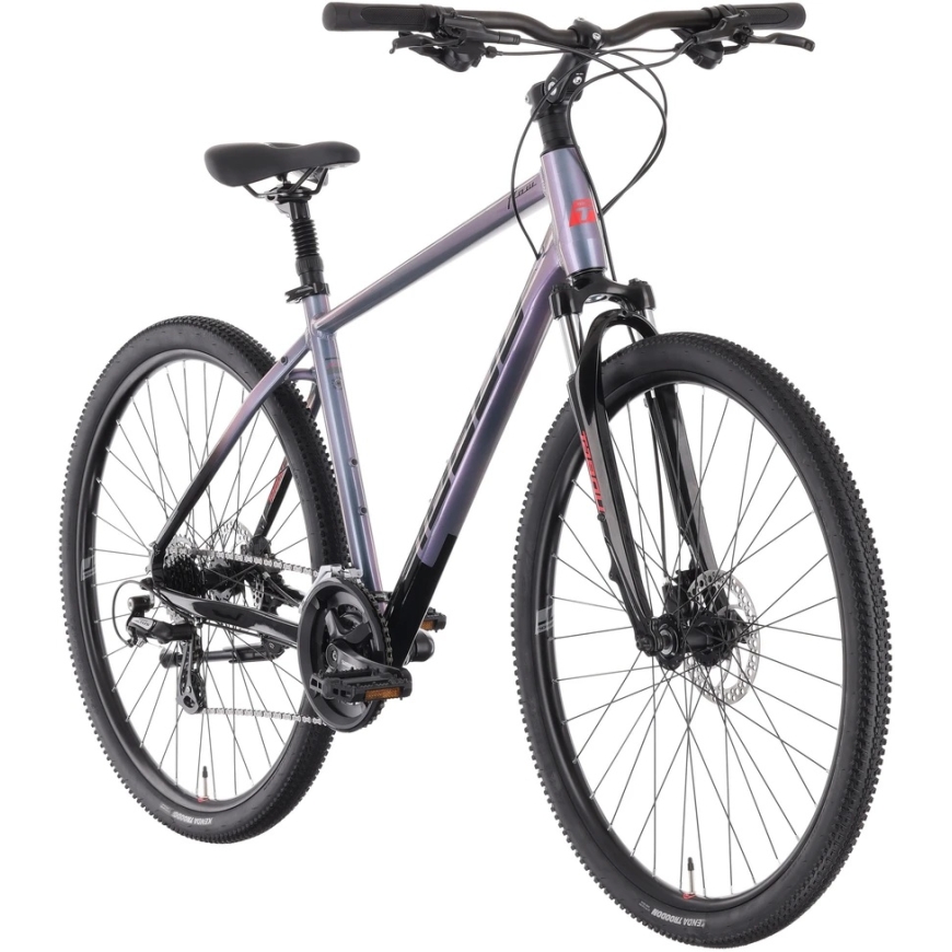 Dviratis Tabou Flow 1 juodas-chameleon-L / 21" (Dydis: L / 21")