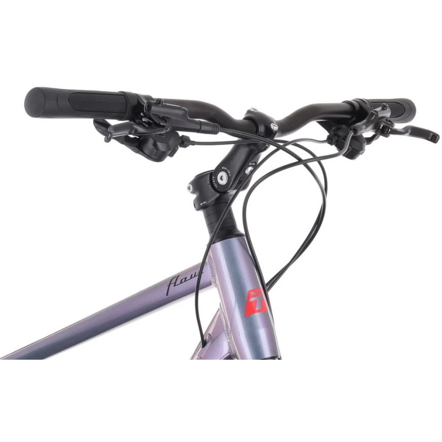 Dviratis Tabou Flow 1 juodas-chameleon-L / 21" (Dydis: L / 21") – 5