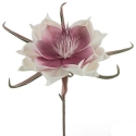 Eurofirany KW/FLORE/824/B B+J.FIOL Eurofirany KW/FLORE/824/B B+J.FIOL