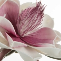 Eurofirany KW/FLORE/824/B B+J.FIOL Eurofirany KW/FLORE/824/B B+J.FIOL