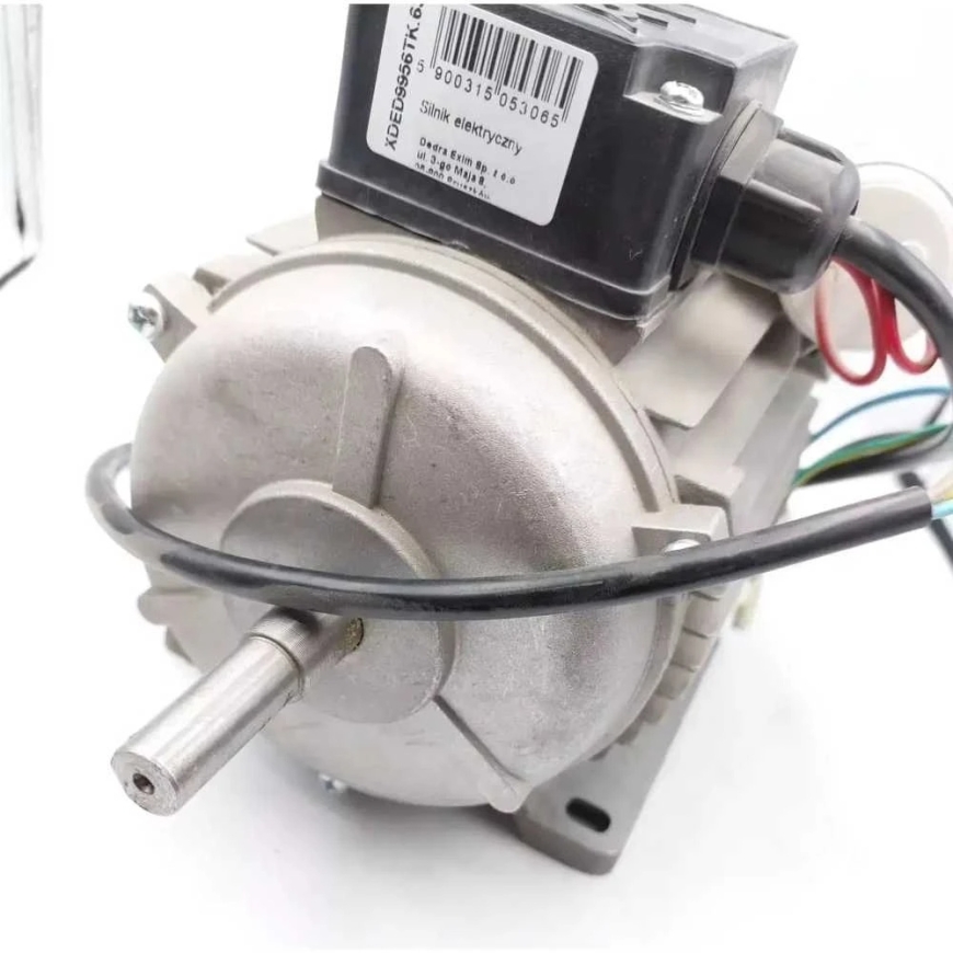 Dedra elektrimootor