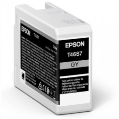 Epson UltraChrome Pro mustekasetti 1 kpl Alkuperäinen Perusvärintuotto Harmaa