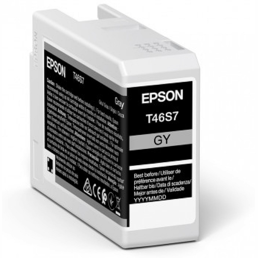 Epson UltraChrome Pro струйный картридж 1 шт Подлинный Стандартная Серый