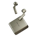 TimeKettle W4 Plus TWS Translation Earbuds (Gold) TimeKettle W4 Plus TWS Translation Earbuds (Gold)