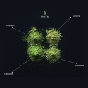 Moya Matcha - Кулинарная BIO 250 г Moya Matcha - Кулинарная BIO 250 г