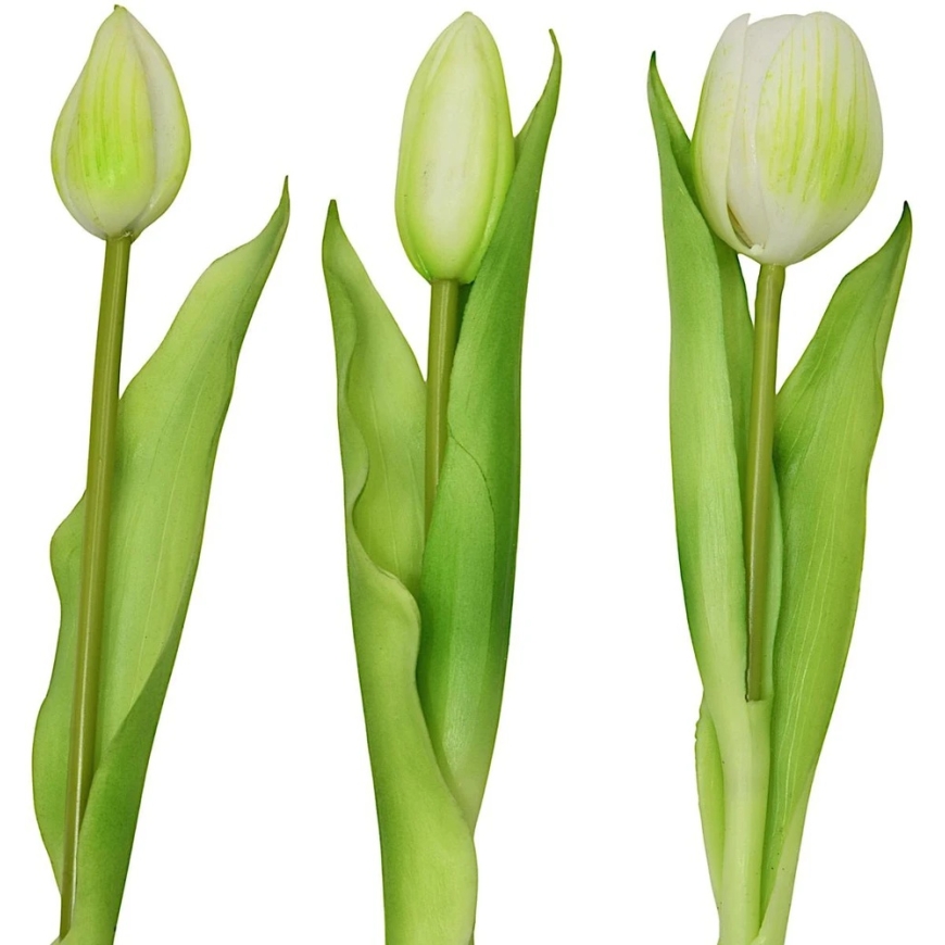 Saska Garden Valge tulpide kimp 31 cm – 5