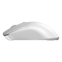 Sandberg 331-05 pele Universāls Abām rokām RF Bezvadu 1600 DPI Sandberg 331-05 pele Universāls Abām rokām RF Bezvadu 1600 DPI