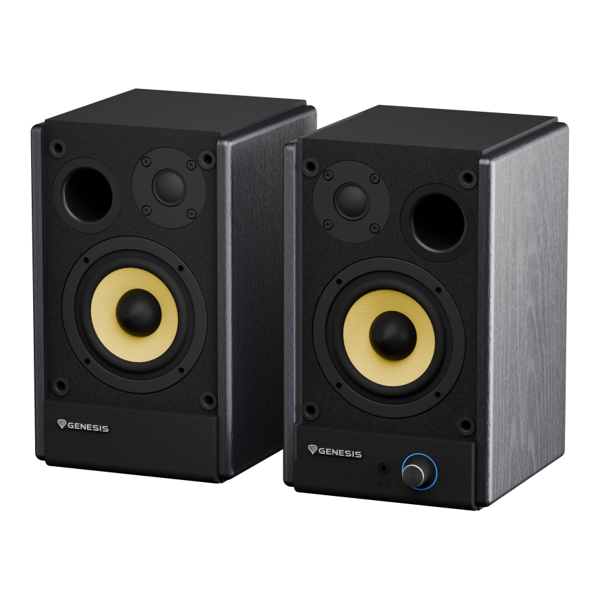 GENESIS ARSEN 402BT Bronze 2-полосная Черный Проводной и беспроводной 60 W – 4