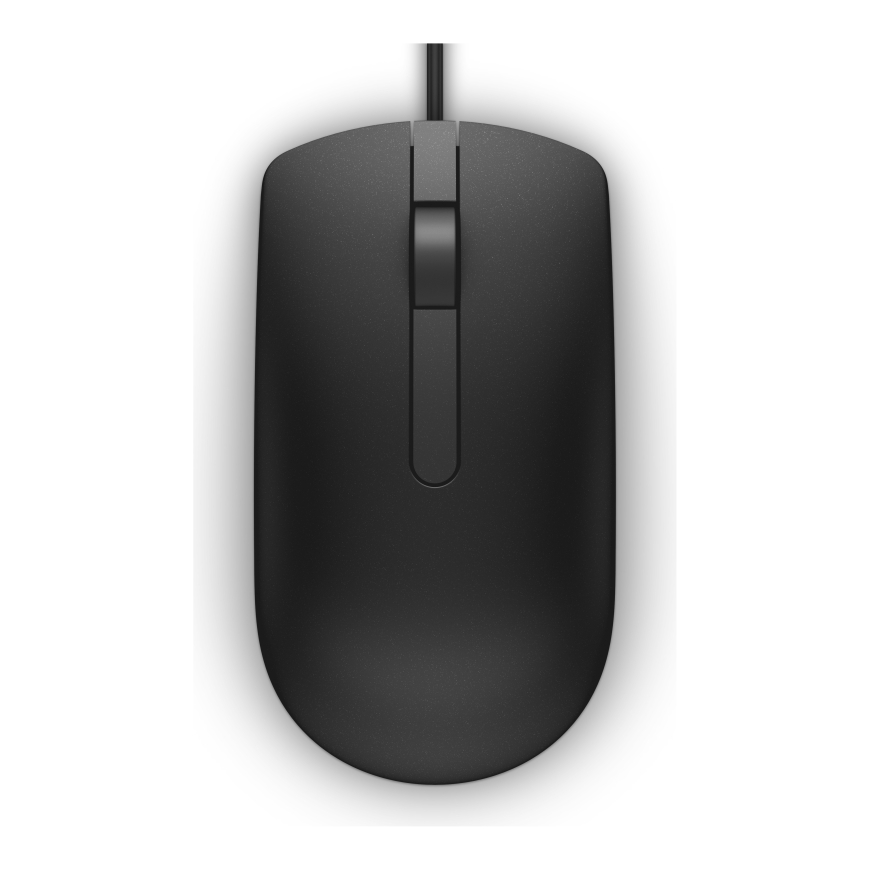 DELL MS116 kompiuterio pelė Biuras Abiems rankoms USB A tipo Optinis 1000 DPI
