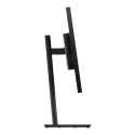 Lenovo ThinkVision T27Q-40 kompiuterio monitorius 68,6 cm (27") 2560 x 1440 pikseliai Wide Quad HD L