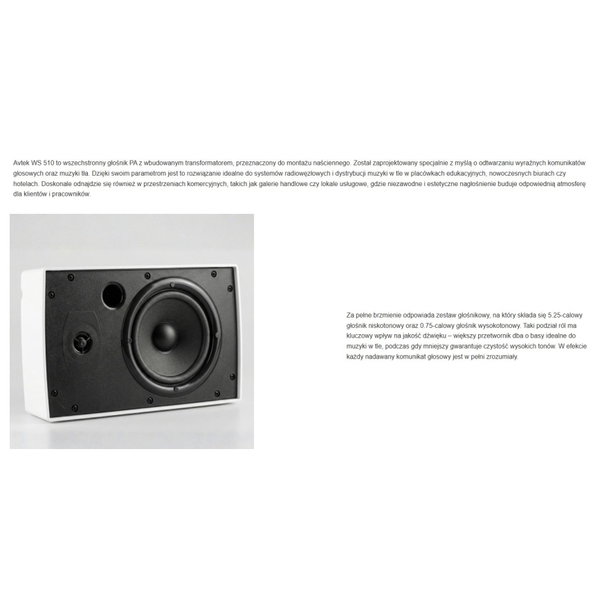 Настенный динамик Avtek WS 510 – 4