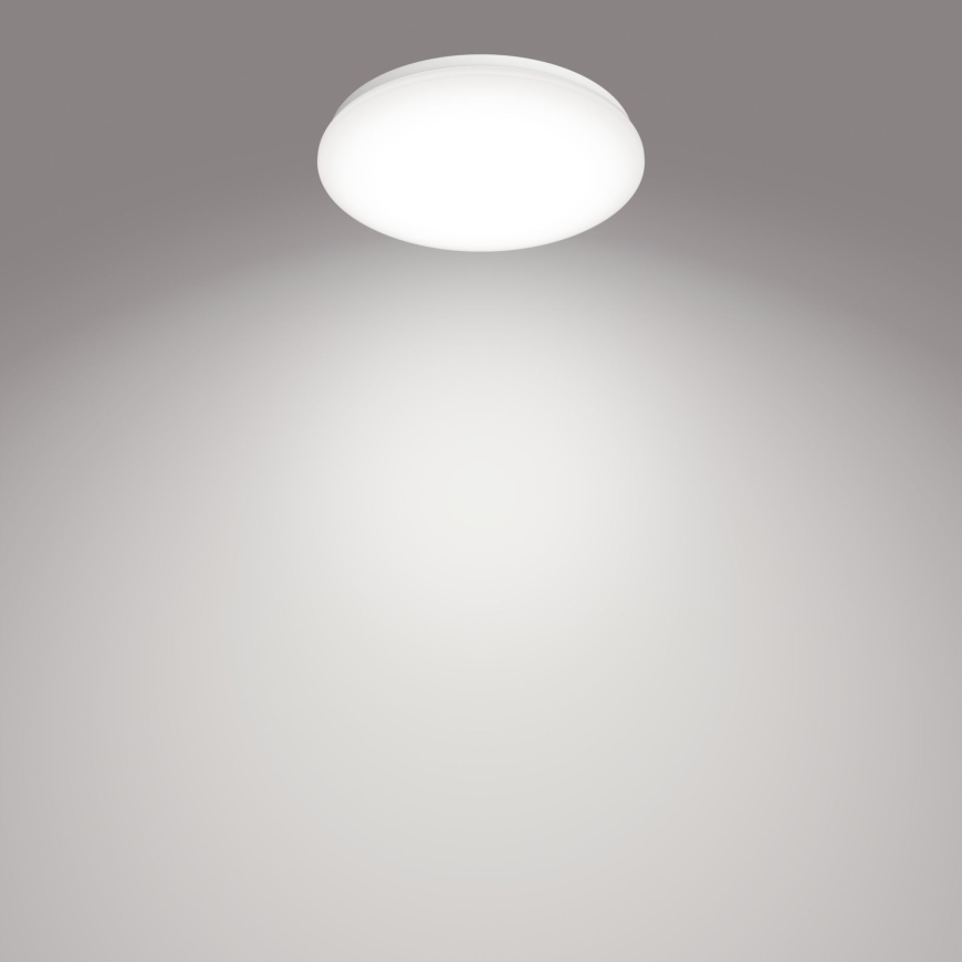 Philips Functional Потолочный светильник Moire, 17 Вт – 2