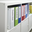 DYMO LW - Large Lever Arch File Labels - 59 x 190 mm - S0722480 Valge Iseliimuv printerisilt