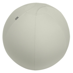 Leitz aktiivipallo tasapainottavalla lisäpainolla 65cm